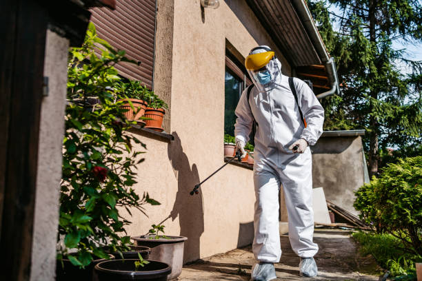 Best Pest Removal Services  in Huntsville, AL