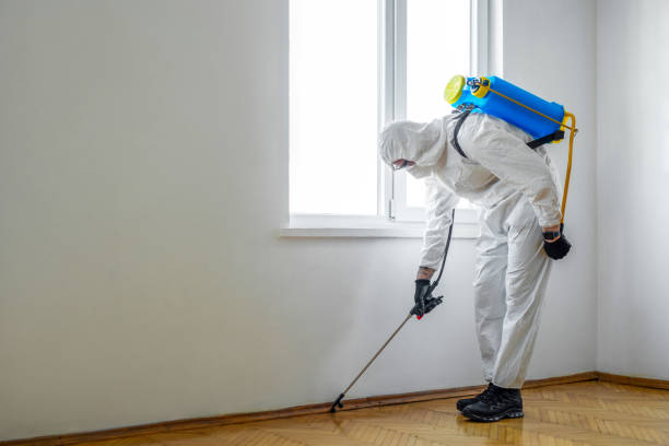 Best Affordable Pest Control Services  in Huntsville, AL