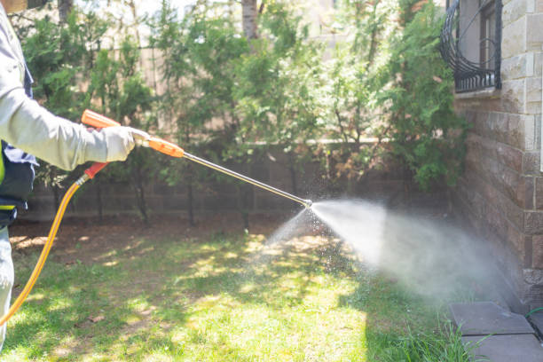 Best Pest Control Treatment  in Huntsville, AL