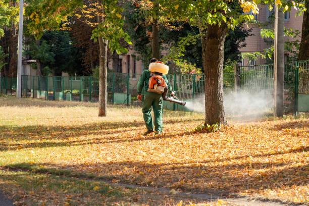 Professional Pest Control in Huntsville, AL