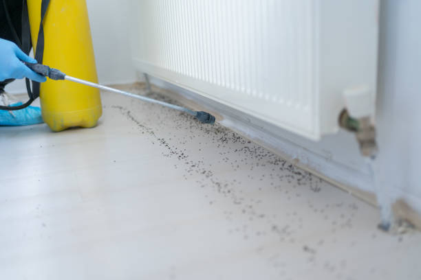 Best Mosquito Control Services  in Huntsville, AL