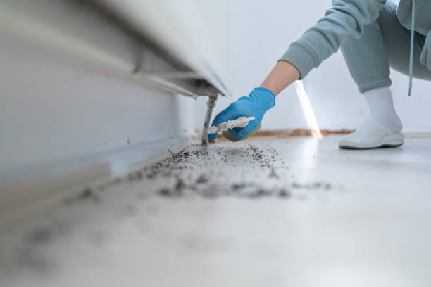 Best Best Pest Control Companies  in Huntsville, AL