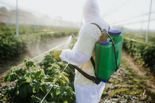  Huntsville, AL Pest Control Pros